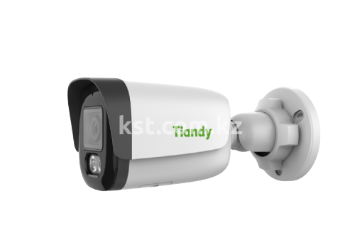 IP видеокамера TC-C32XN Spec:I3/E/Y/2.8mm/V5.1 (превью 1)