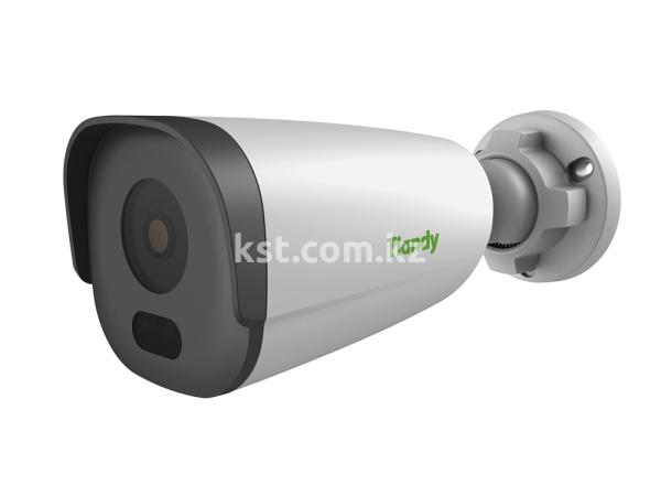 IP видеокамера TC-C32GN Spec:I5/E/Y/C/SD/2.8mm/V4.1 (превью 1)