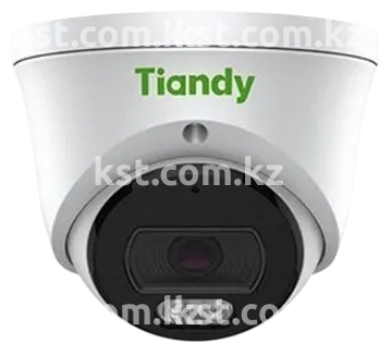 IP видеокамера TC-C321N Spec:I3/E/Y/2.8mm (превью 1)